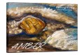 paletka_ustka_-_amber2.jpg