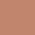 POWDER RLUSH 01 WARM TAN 2.jpg