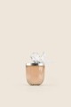 Rose Seduction fragrance 100 ml 2.jpg