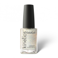 #101 Silver Fairy Dust1.png